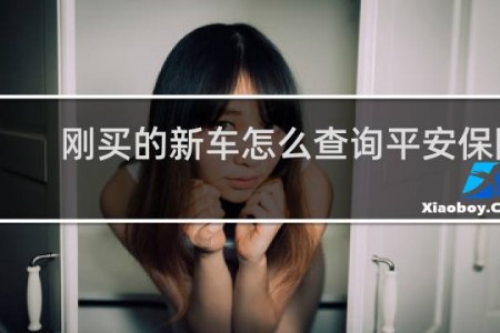 刚买的新车怎么查询平安保险