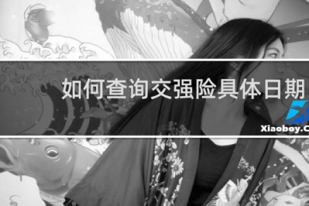 如何查询交强险具体日期