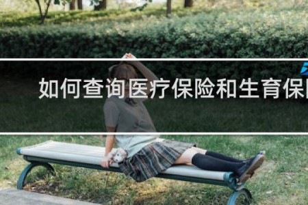 如何查询医疗保险和生育保险