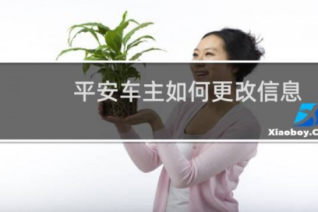平安车主如何更改信息