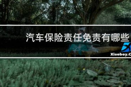 汽车保险责任免责有哪些