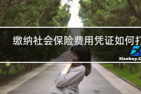 缴纳社会保险费用凭证如何打印