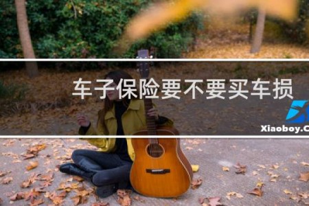 车子保险要不要买车损
