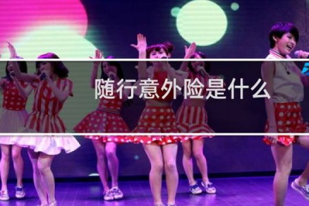 随行意外险是什么