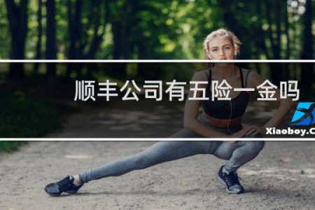 顺丰公司有五险一金吗