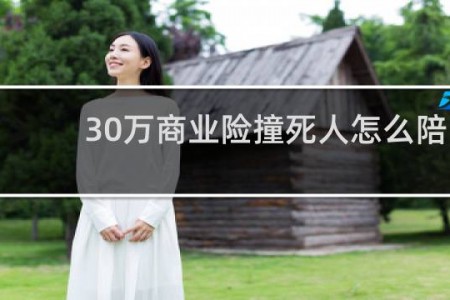 30万商业险撞死人怎么陪